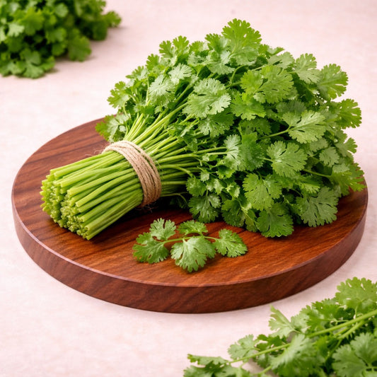 Coriander - Dhaniya